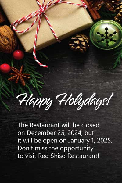 closed-dec25.jpg